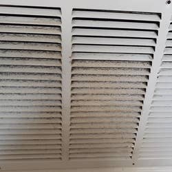 the dirty vent