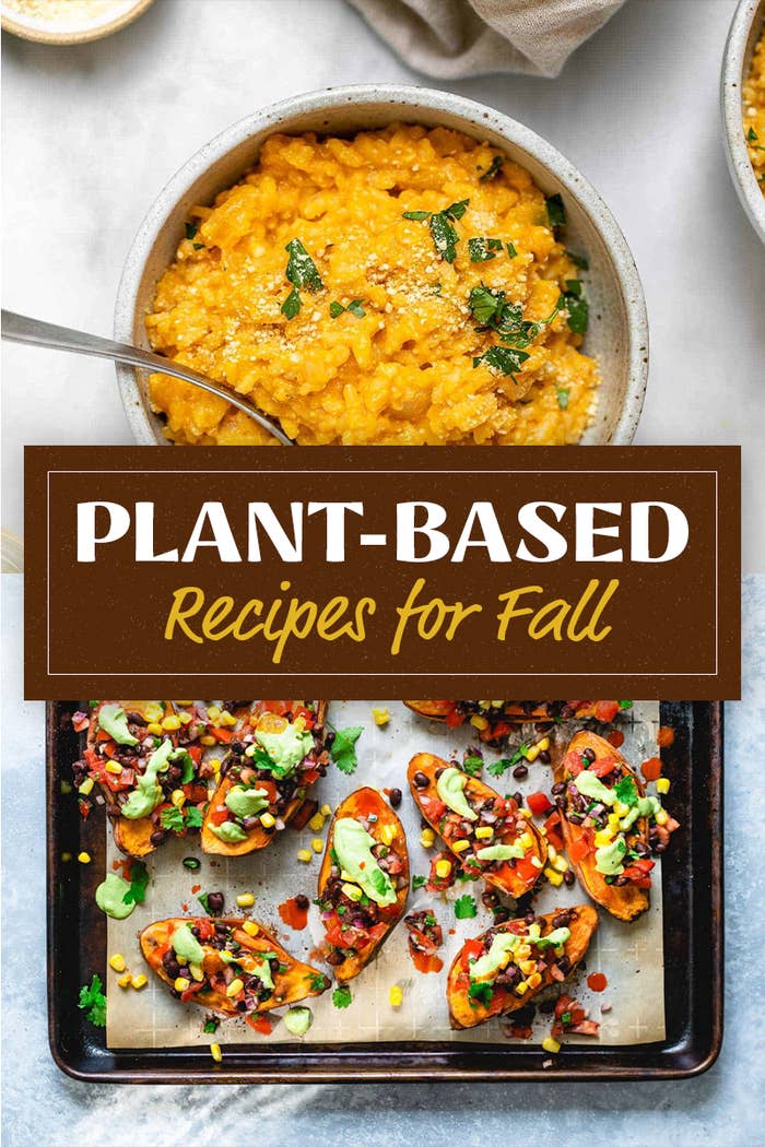 27 Plant-Based Recipes For Fall