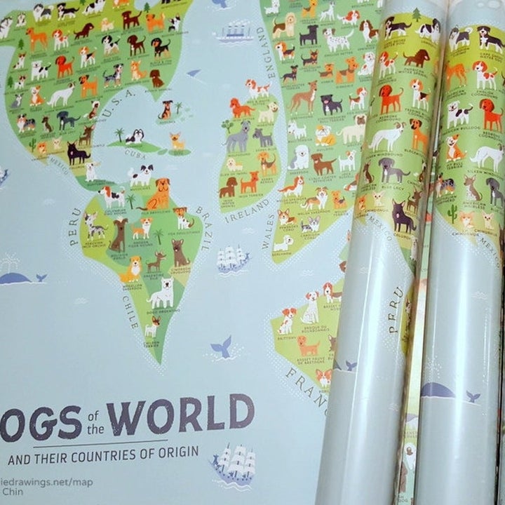 close up on the illustrated and labeled breeds over their origin places