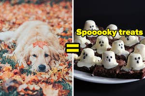 A golden retriever lays in a pile of leaves and melted marshmallows with ghost faces sit on slices of brownies