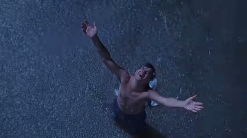 Andy in &quot;The Shawshank Redemption&quot;