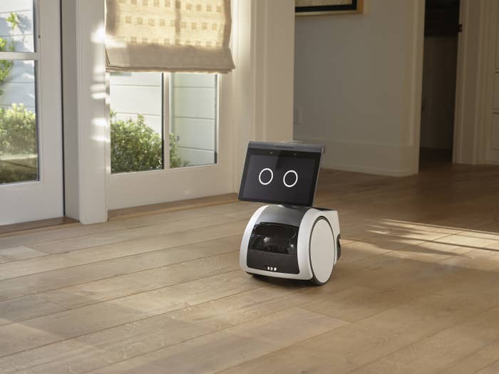 A small wheeled robot with a screen sits on a floor