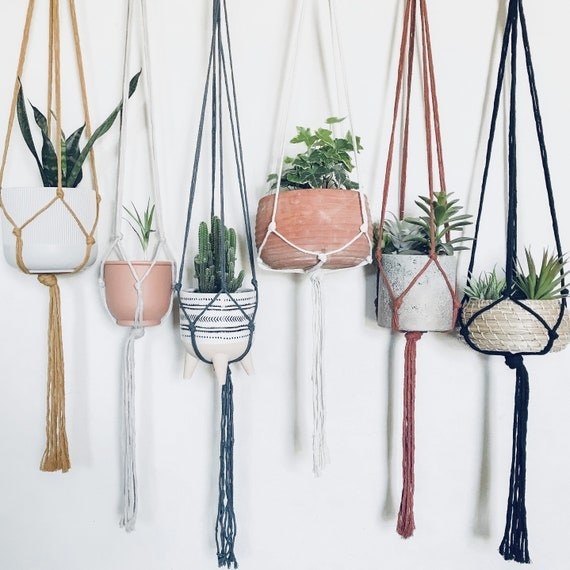 colorful macrame plant hangers with pots hanging in front of white wall