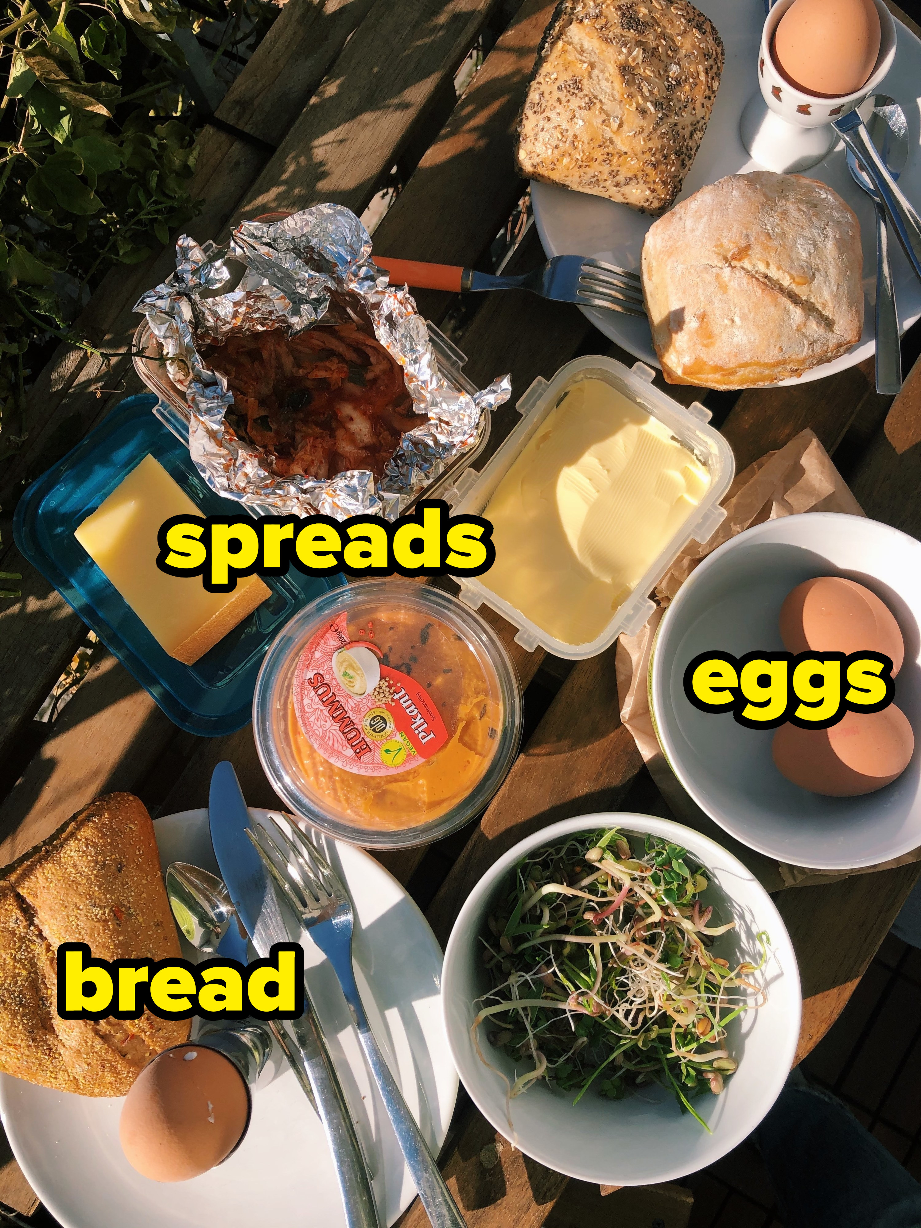 A picnic spread in a park