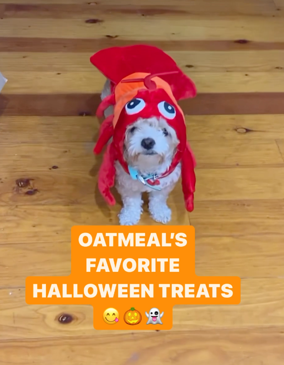 oatmeals favorite halloween treats