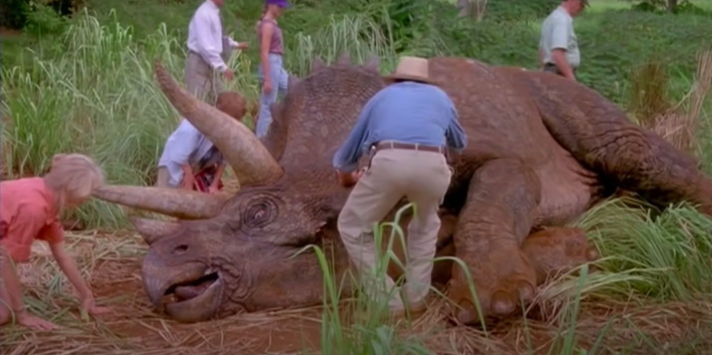 the team tends to a sick dinosaur that's laying on its side