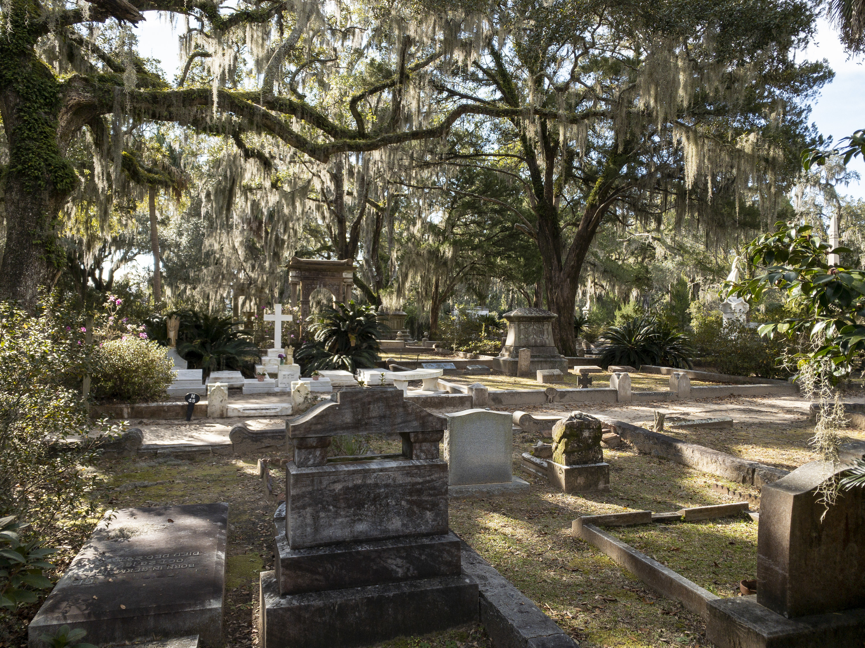 old cemetery with large oak trees and spanish moss