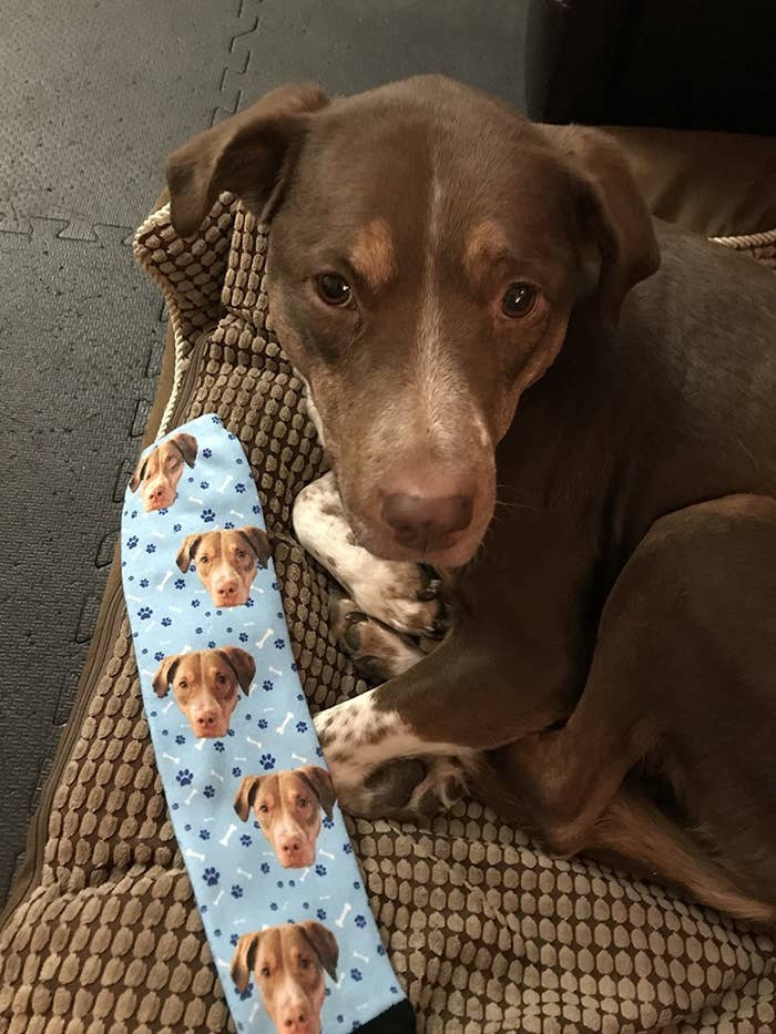 A reviewer&#x27;s dog, and the socks customized with the dog&#x27;s face from the photo