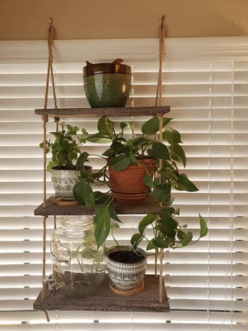 reviewer image of wall hanging shelf by window with plants on it