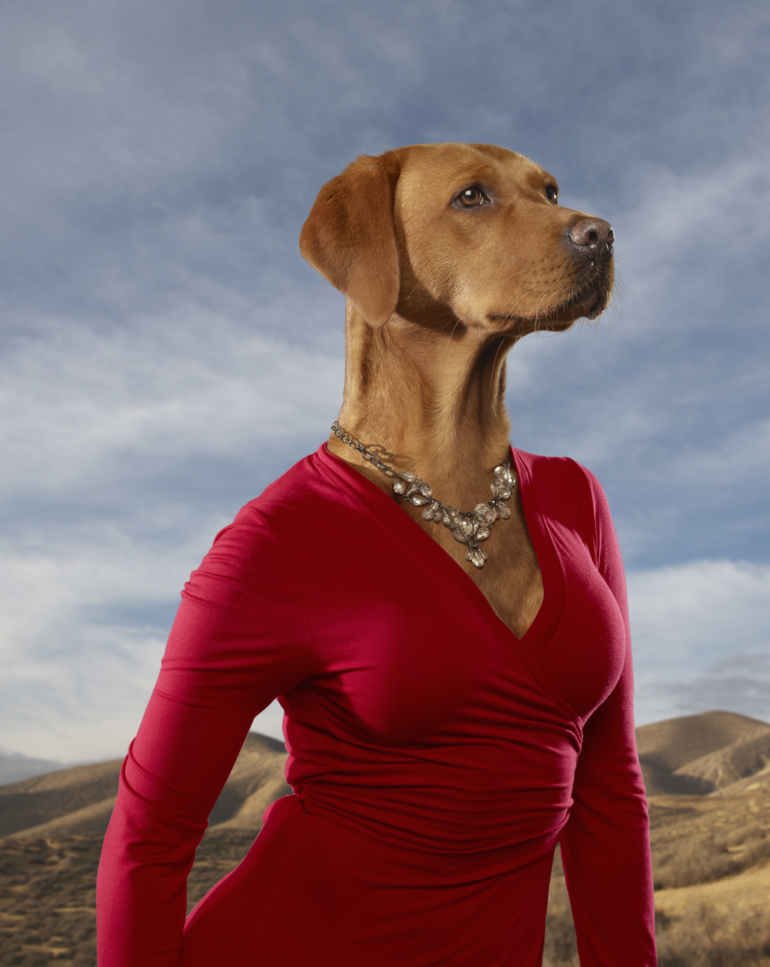 a dog in a red dress with a human body