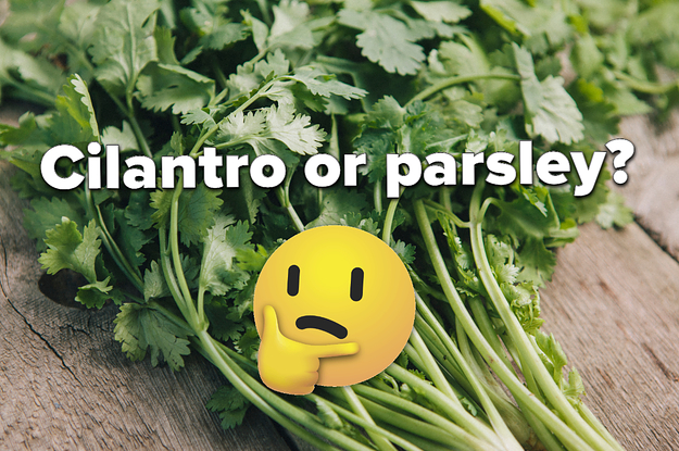 We Bet You Can't Correctly Identify 6/9 Of These Herbs