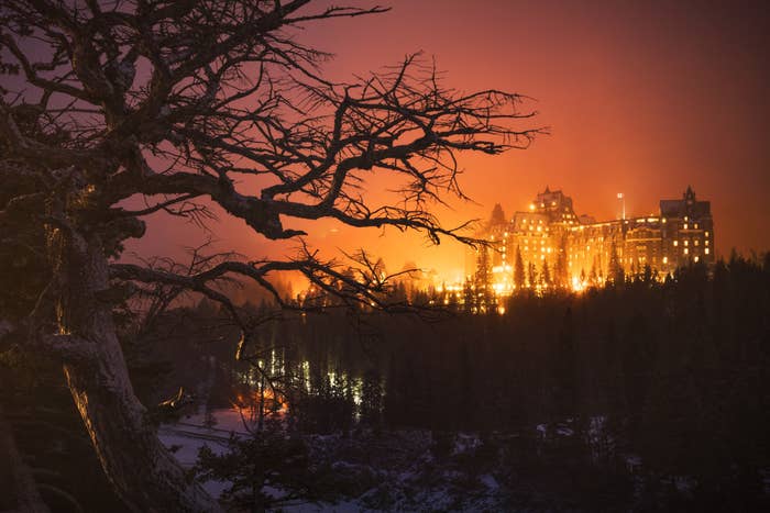 a tree without leaves in the foreground and the banff springs hotel in the background