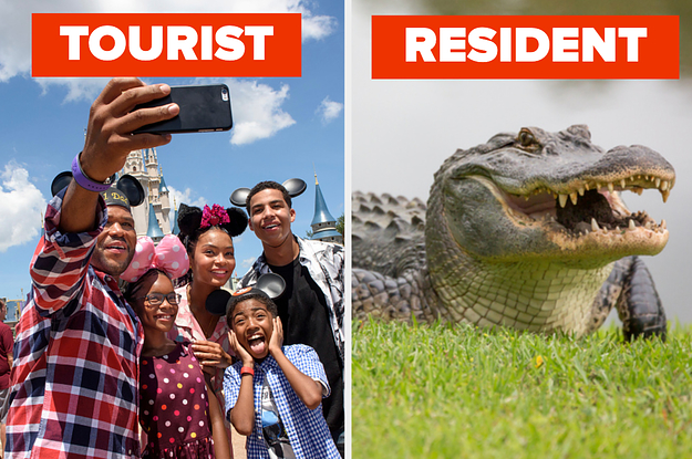If You Check Off Less Than 9/34 Things On This List, Then You're A Florida Tourist, Not A Resident
