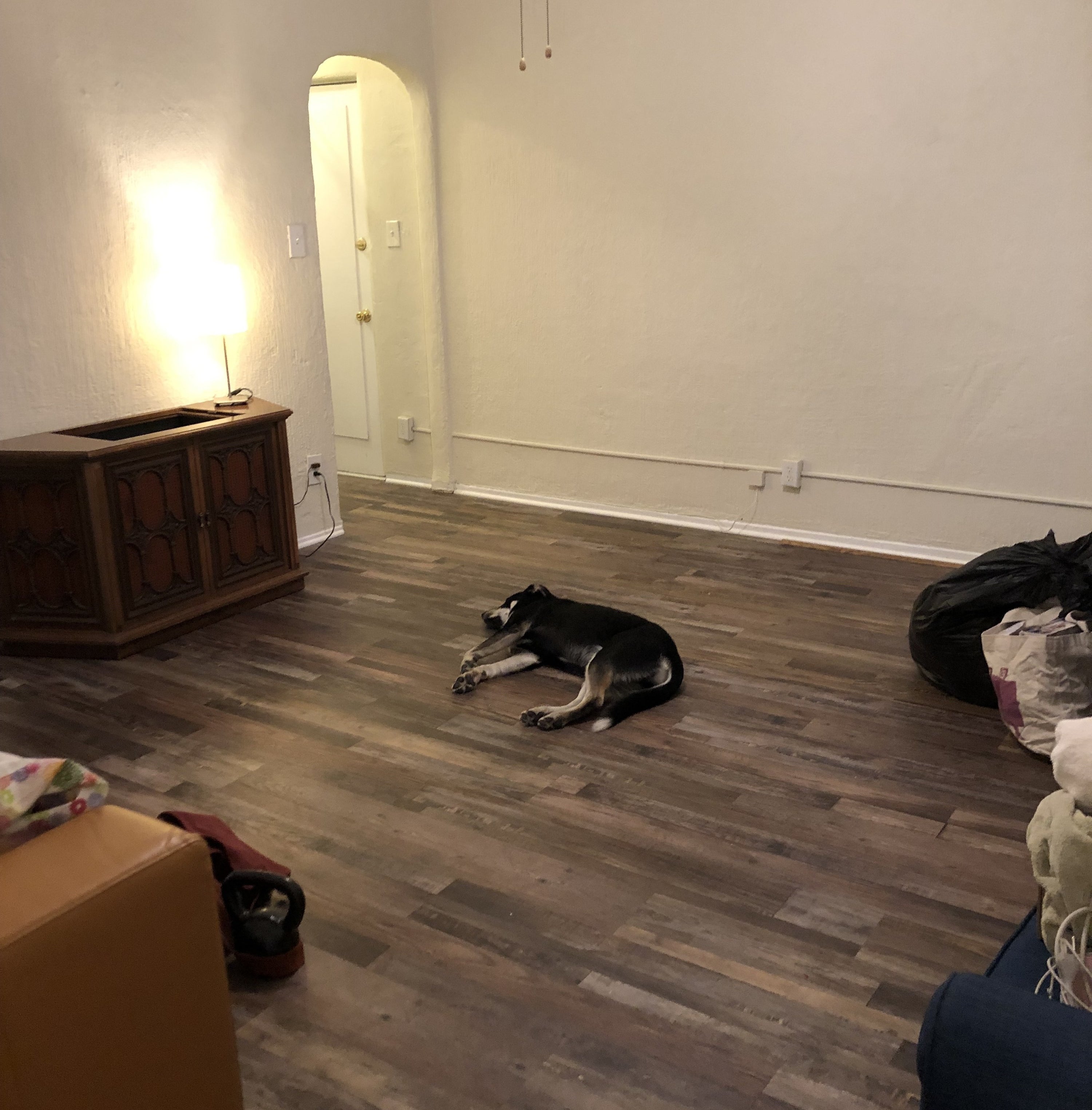 the writer&#x27;s dog laying on the new floors of her apartment