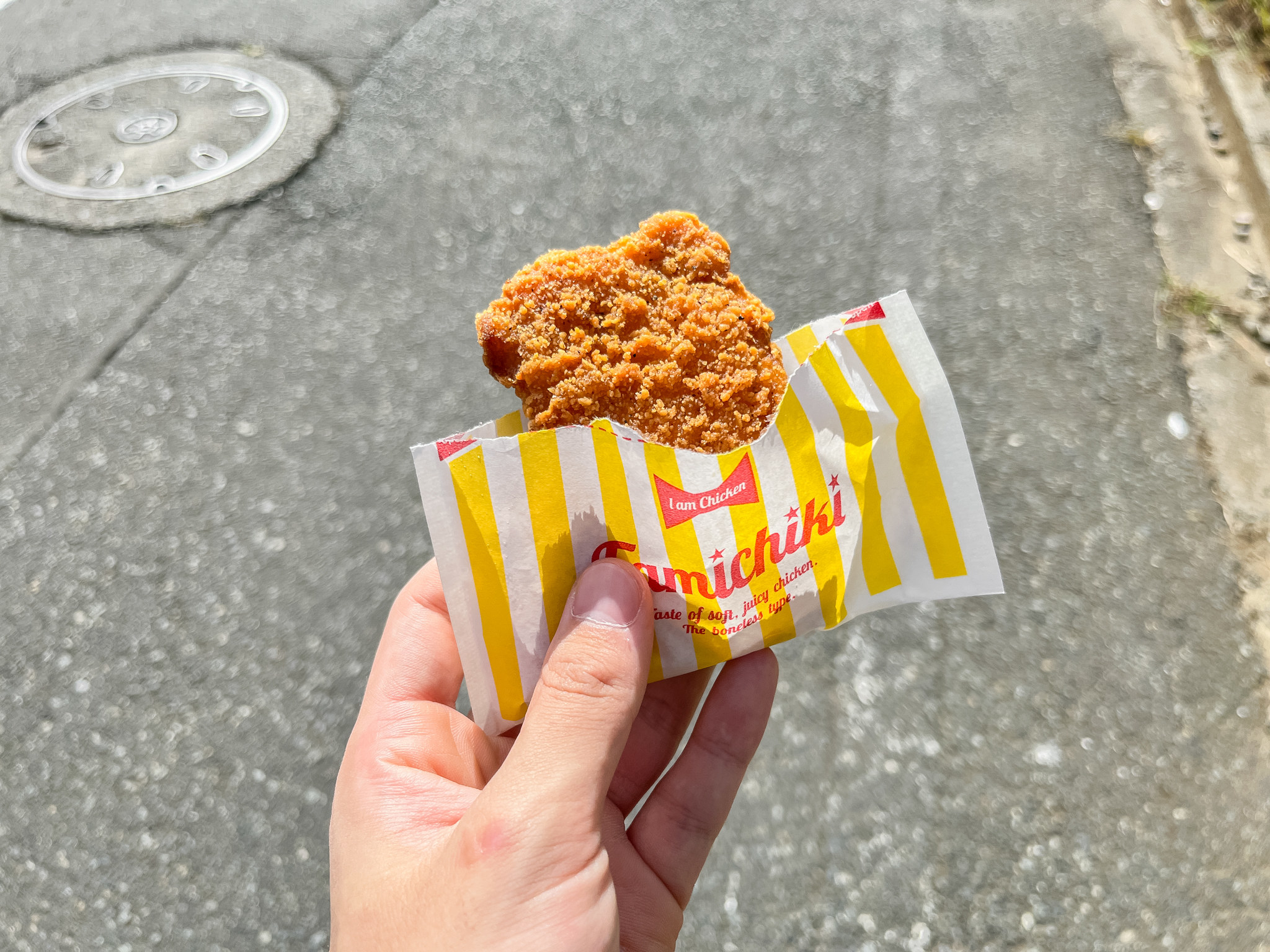 とんでもないの来た…食欲を暴走させる「おうちファミチキセット」が楽天で限定販売中です！