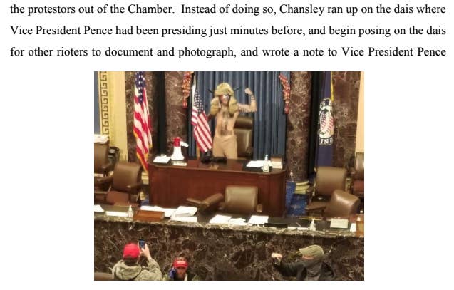 A court document includes an image of Chansley in the Senate chamber, wearing an animal hide and horns, holding a fist up