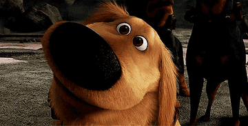 a gif of dug from up waiting with a smile