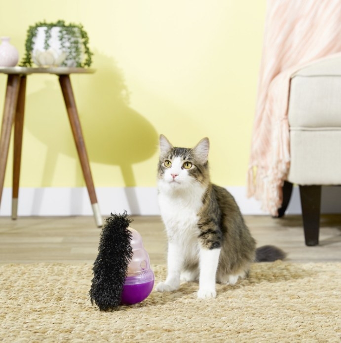 An image of a cat wobbler treat dispenser toy