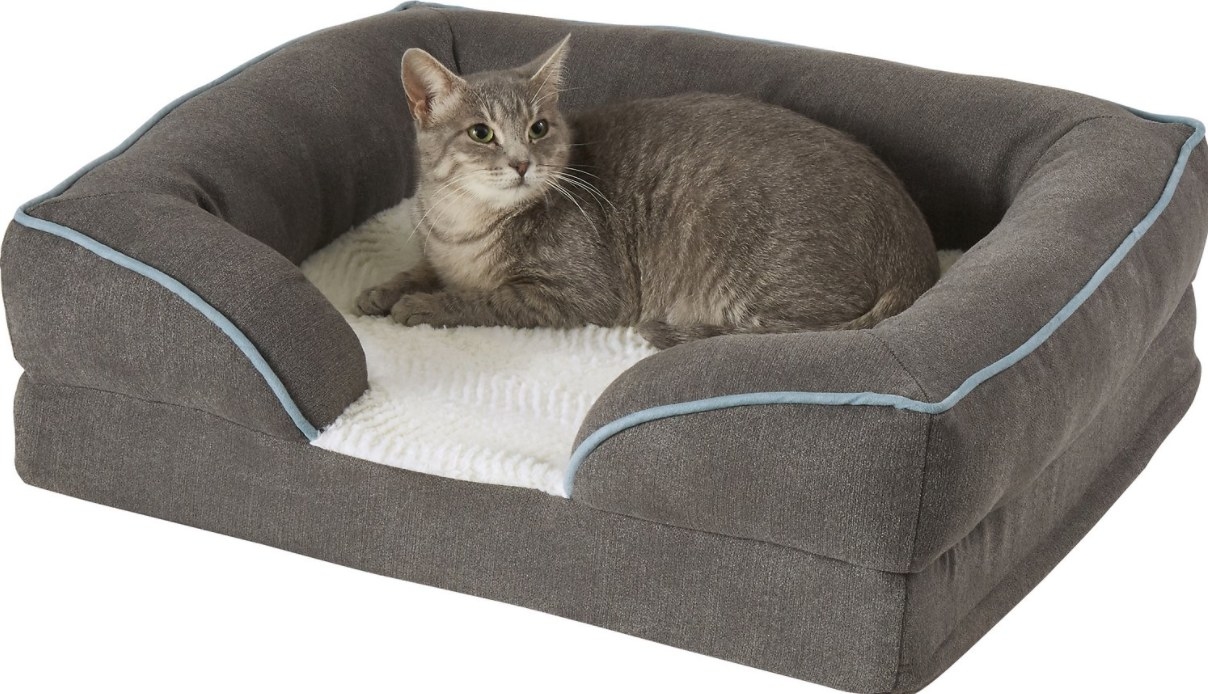 A reviewer&#x27;s image of a cat inside an orthopedic pet bed