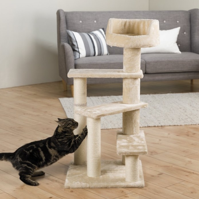 An image of a senior cat tower