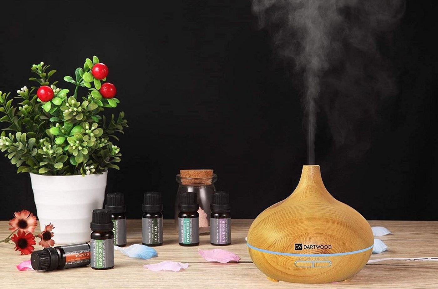 the diffuser next to a plant and oils