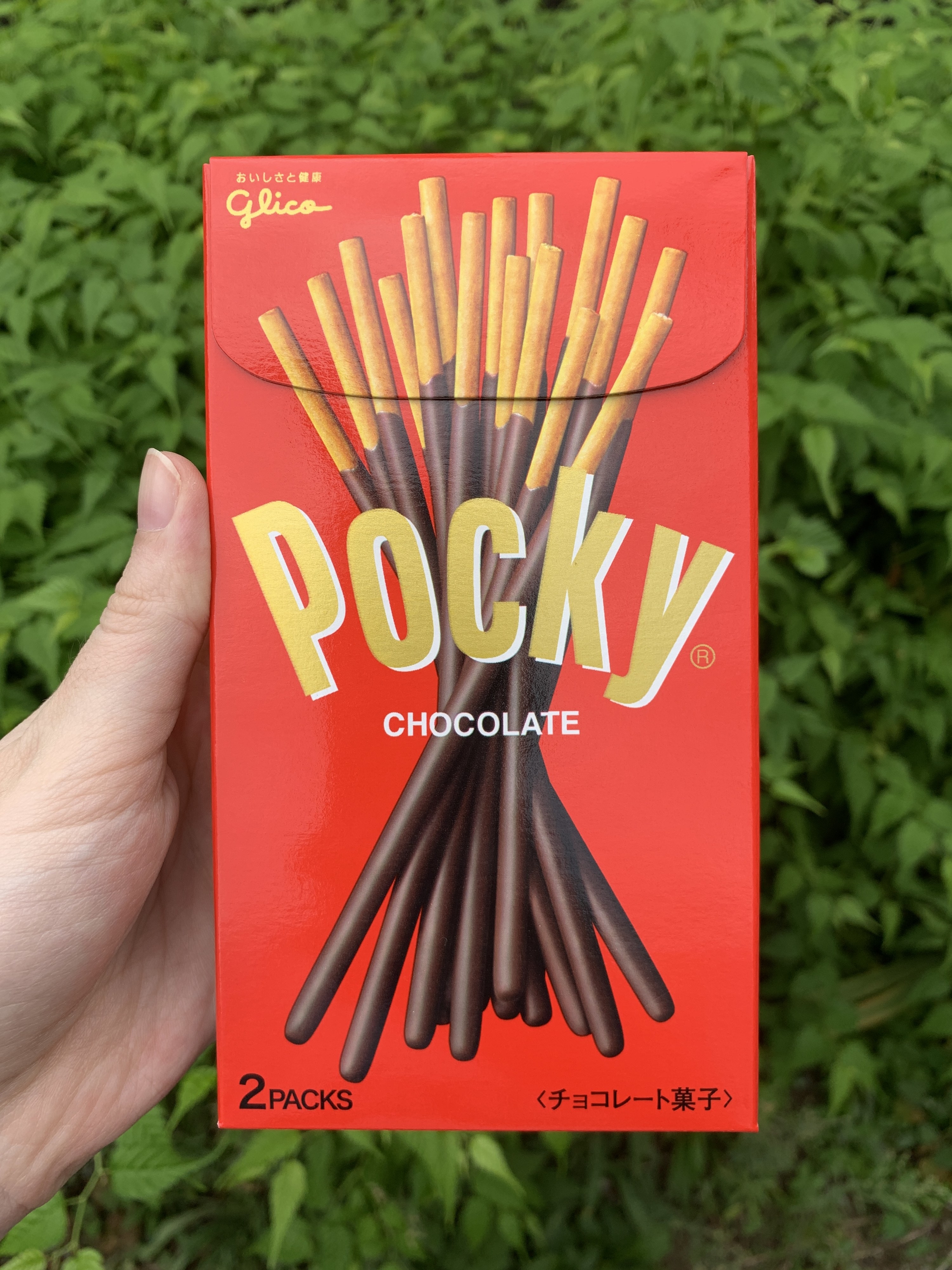 A hand holding a box of Pocky
