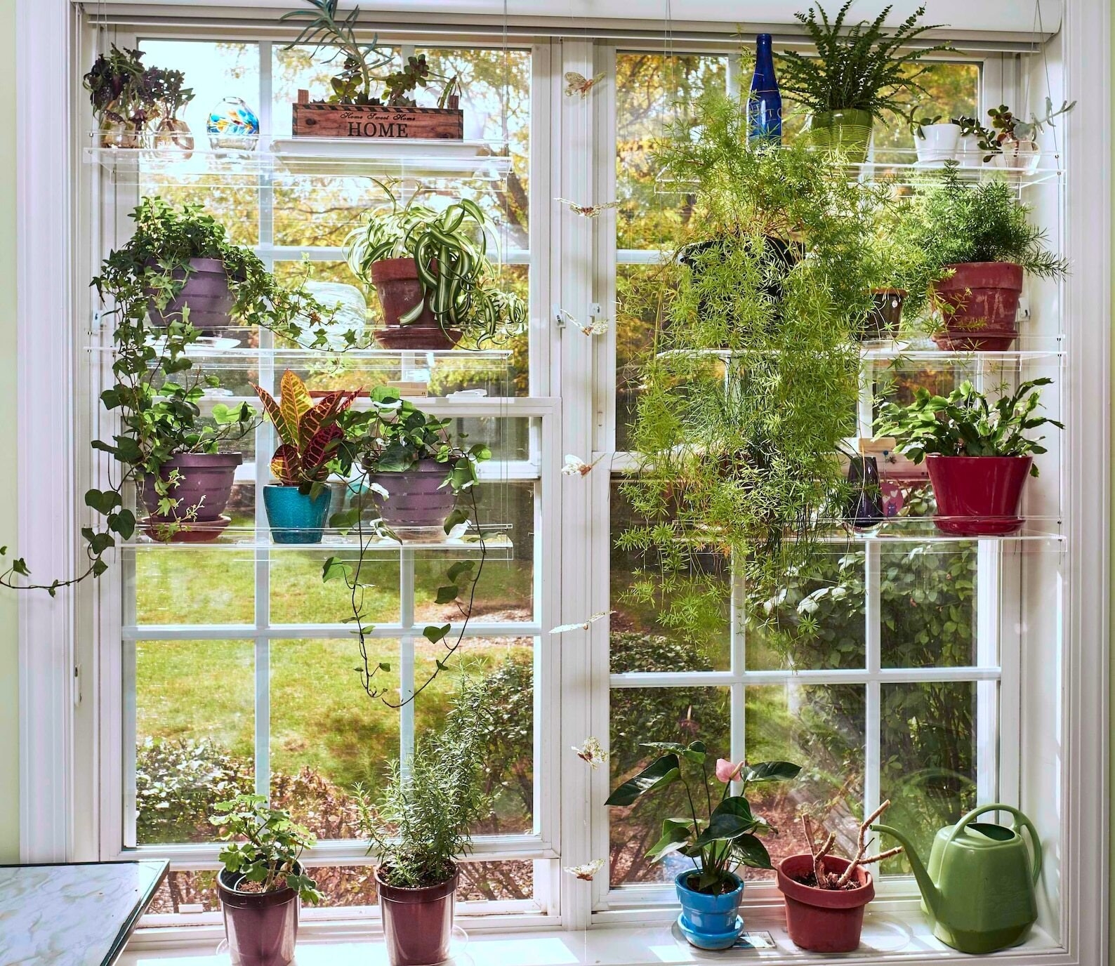 another image of plants hung in front of an open window 