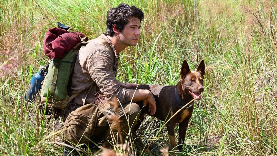 dylan obrien kneels in a field with a dog next to him