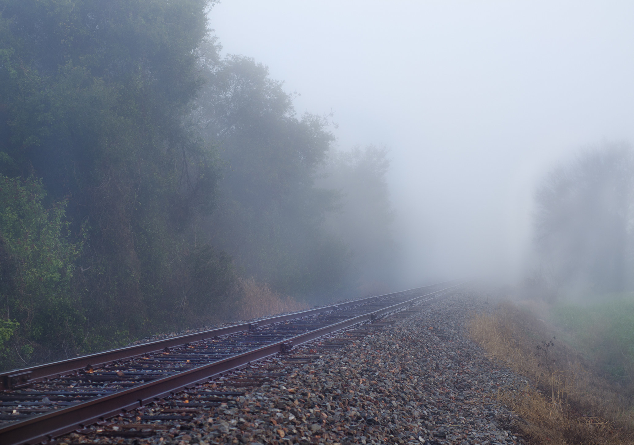 an empty train track in the forest covered in fog