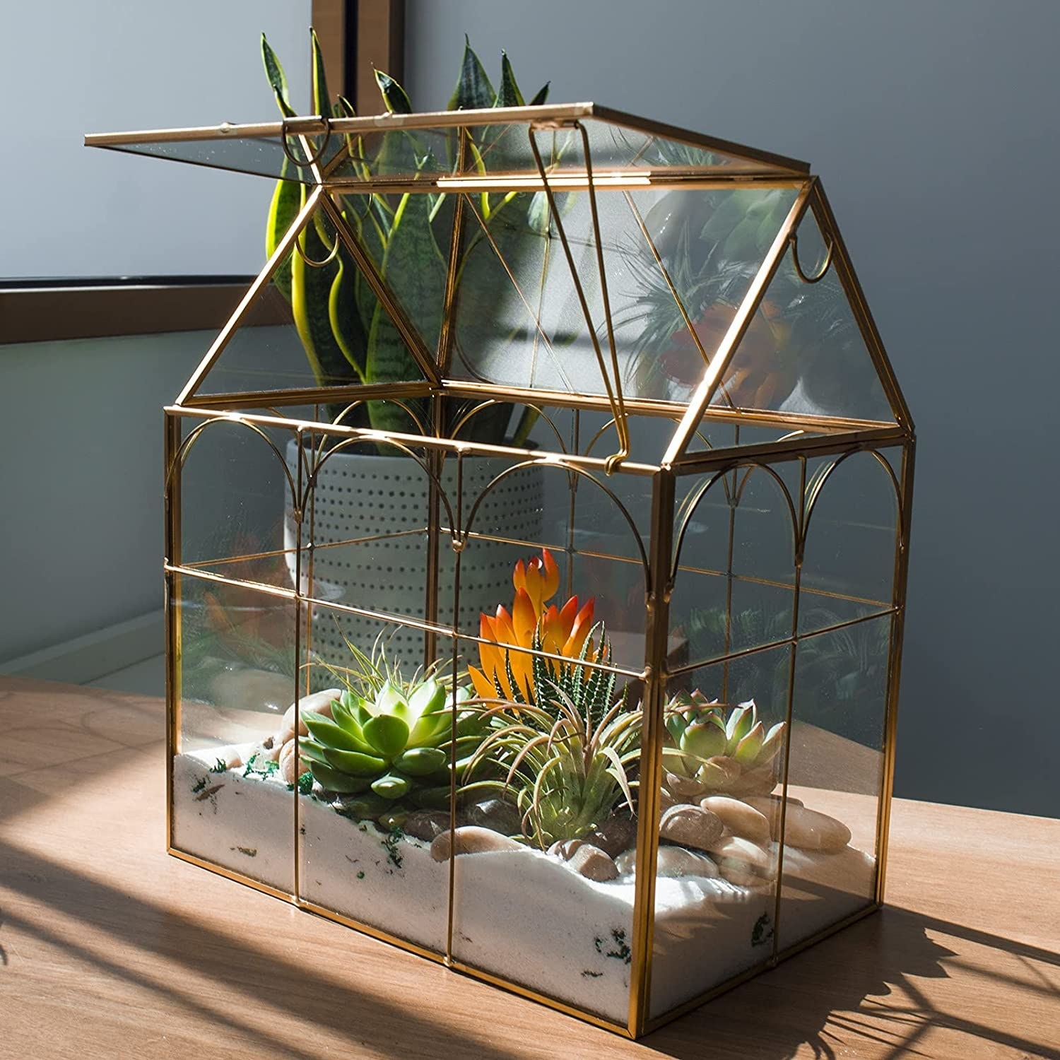 glass box shaped like a greenhouse with a hinged lid on the roof