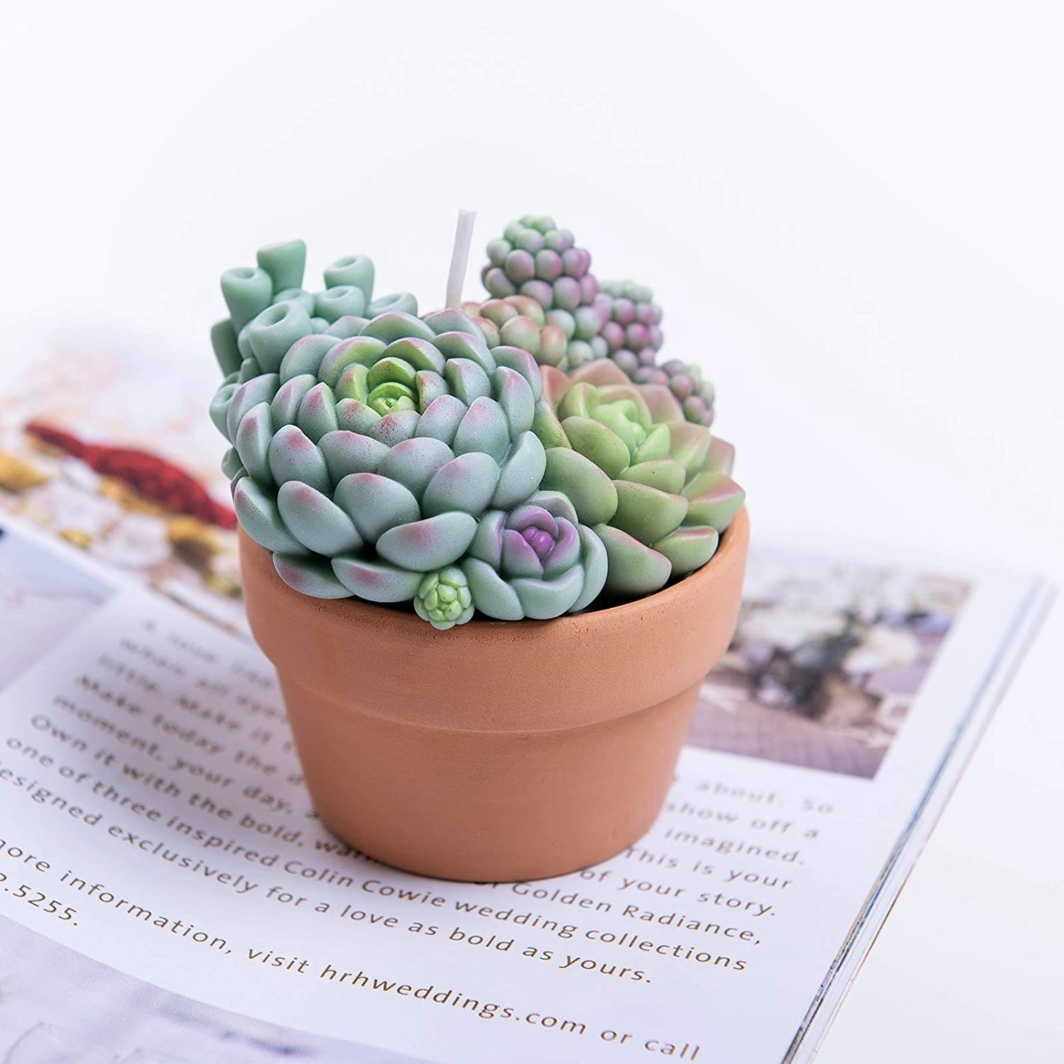 candle that looks like succulents in a planter
