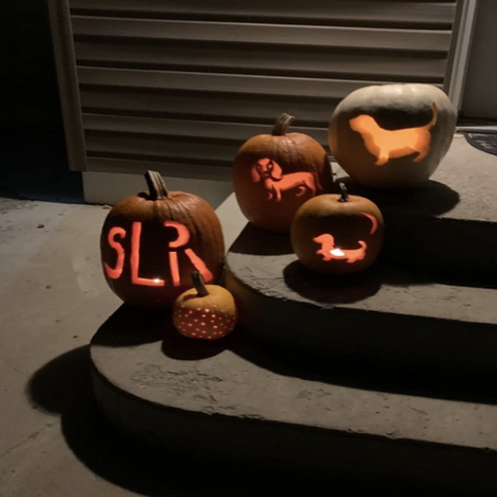 various carved pumpkins sitting on a stoop