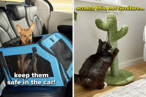 left image: dog sitting in car seat, right image: cat scratching cactus shaped cat post