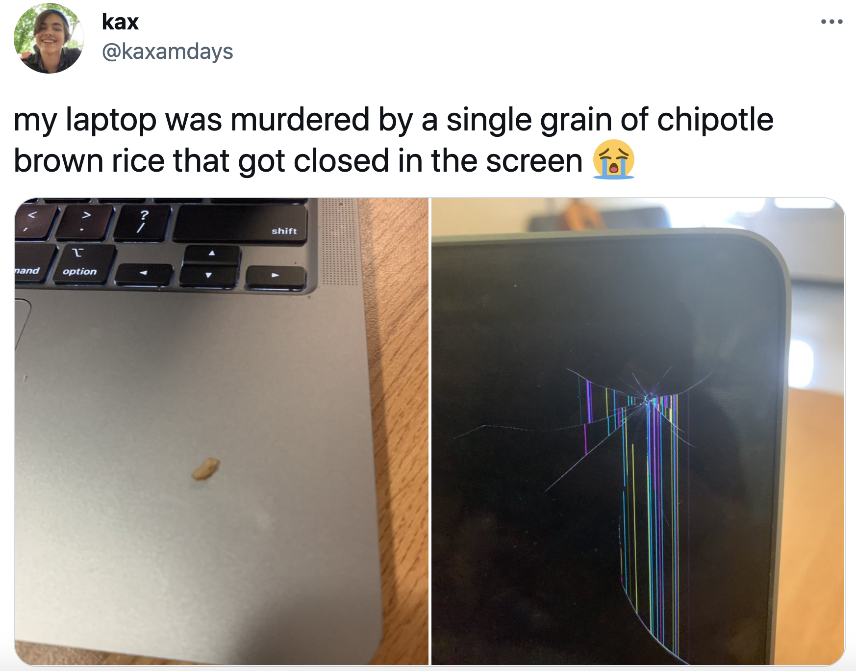 Laptop ruined by a single grain of rice