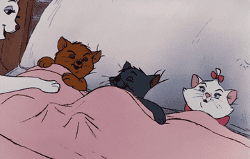 a gif of the three aristocat kittens snuggling into bed