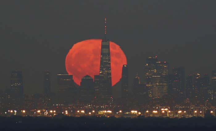 The full Blue Moon and Hunter&#x27;s Moon rises behind lower Manhattan and One World Trade Center in New York City on Oct. 31, 2020.