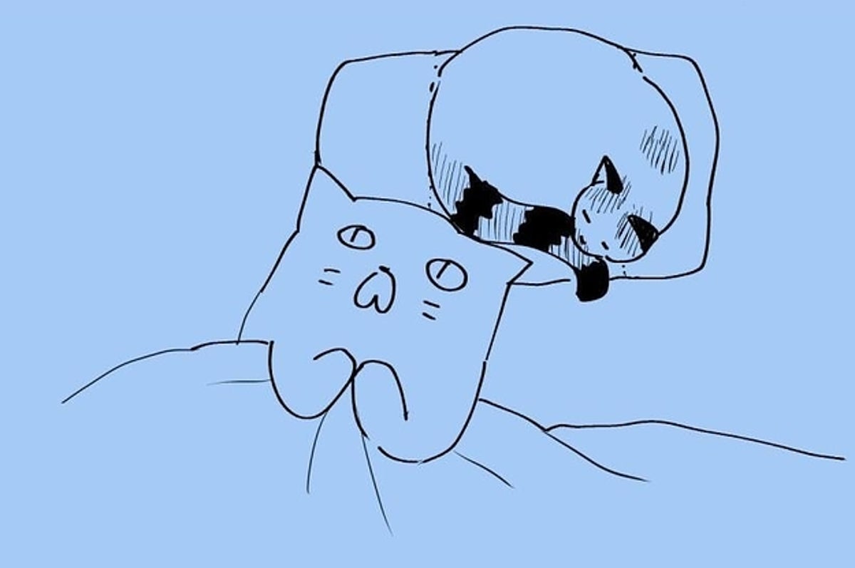 2コマで完璧なオチ 猫あるある を描いた漫画が面白すぎるんだにゃ