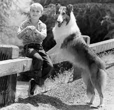 TIMMY AND LASSIE