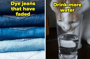 dyed jeans and cat drinking water