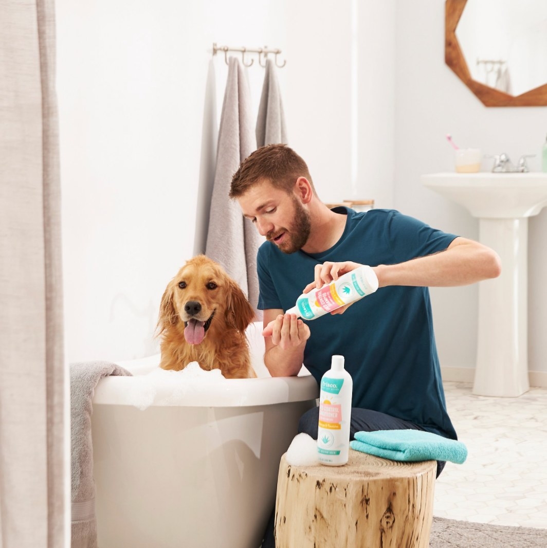 Man washing dog in a bath with shampoo