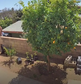 Americans Are Sharing Their Own Terrifying Wildlife Stories In