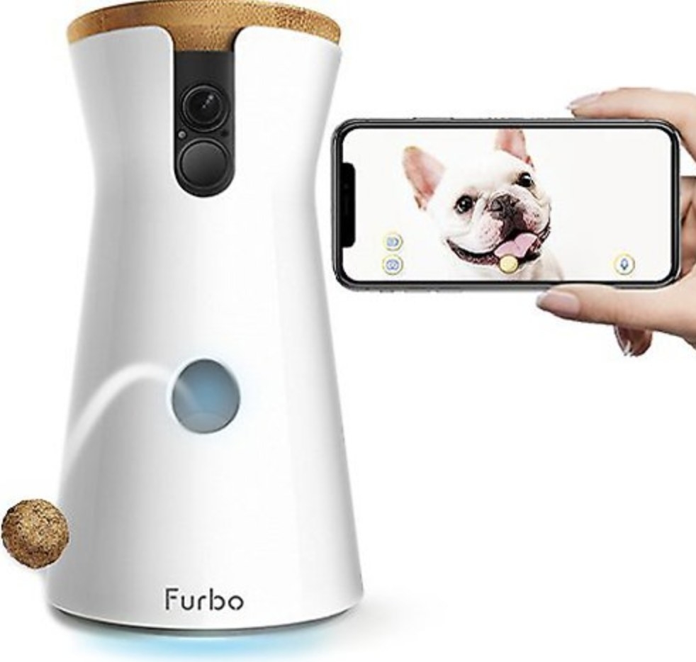 The white device says Furbo and has a wooden top and white Frenchie on a nearby cellphone