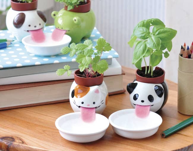 the mini self-watering planters in dog, frog, cat, and panda designs