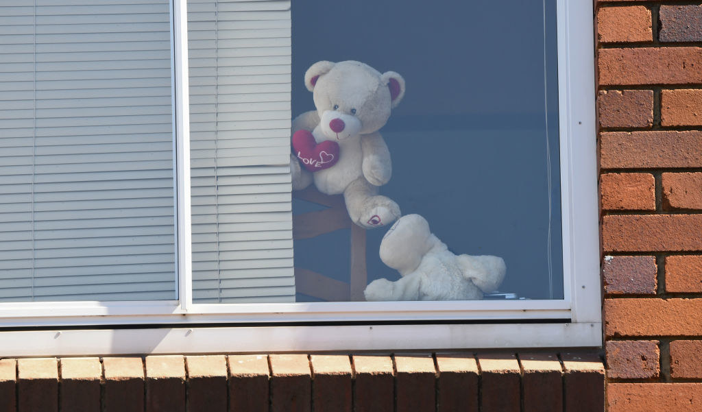 Teddy bears and other soft toys sit inside windows