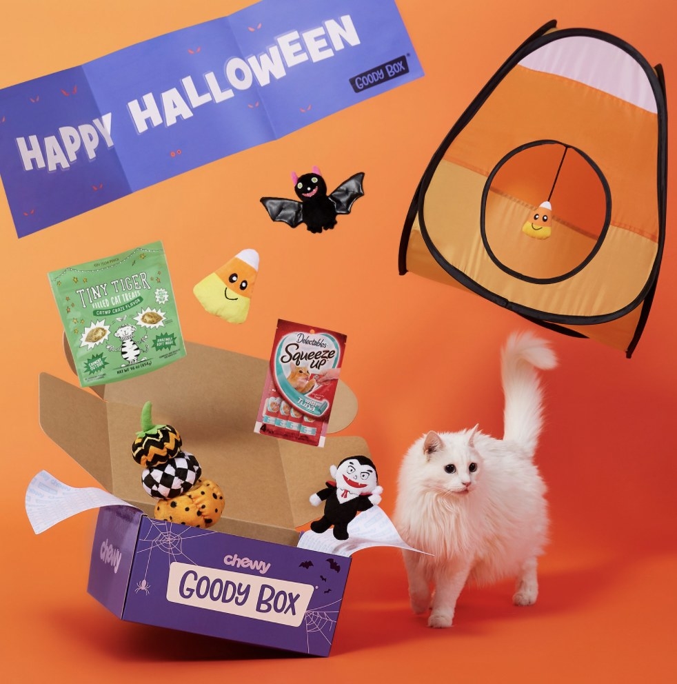 The purple &quot;Chewy GOODY BOX&quot; has four toys, a &quot;HAPPY HALLOWEEN&quot; banner, treats, a tent and a white cat nearby