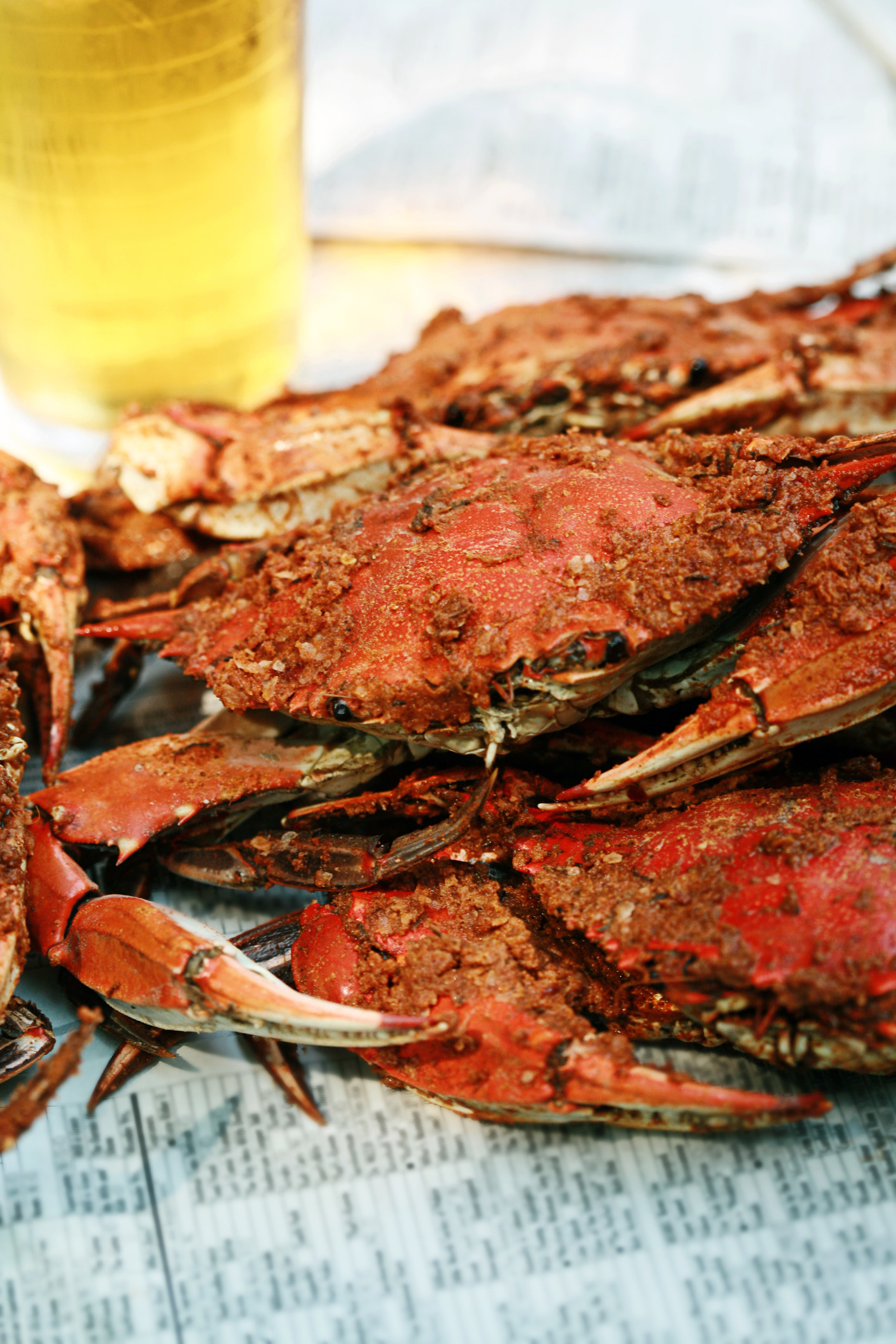 Maryland steamed crabs