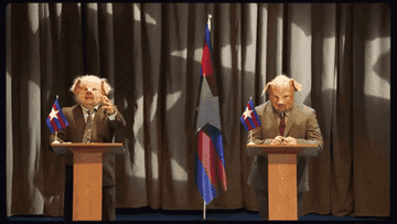 A GIF of two pigs standing on a podium