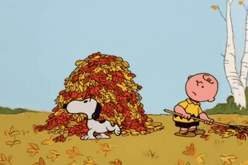 snoopy blowing a falling leaf onto a big pile of leaves as charlie brown watches