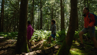 family walking in the forest