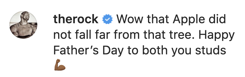 The Rock said &#x27;Wow that apple did not fall far from that tree. Happy Father&#x27;s Day to both you studs&#x27; [flexing arm emoji]